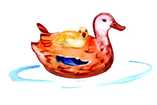 Mom and Baby Ducks in Watercolor Style